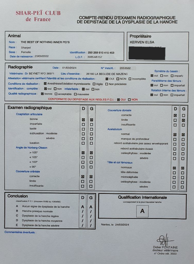 BILAN RESULTATS DYSPLASIE